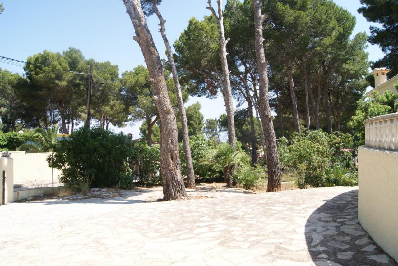 Efaistos * Dénia